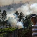 Les incendies géants autour du globe