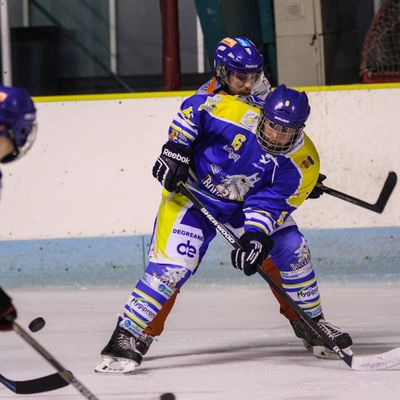 SANGLIERS ARVERNES 2 - BOUCANIERS DE TOULON 