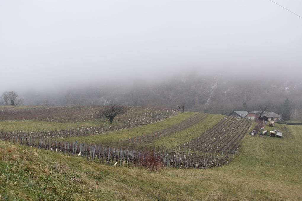 Balade dans les vignes de Chignin (73)