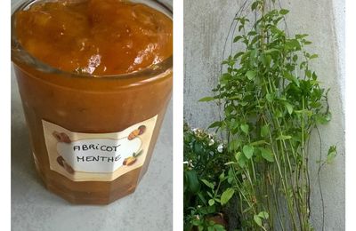 Confiture Abricot Menthe