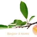 Mirabelles