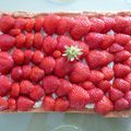 TARTE FRAISES-PISTACHE...