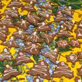 Brédeles: gâteaux de noel au chocolat et à l'orange 