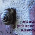 Petit escargot porte sur son dos sa maisonnette...