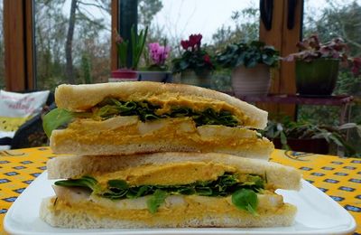 Tartinade de carottes épicées pour mon club sandwich 