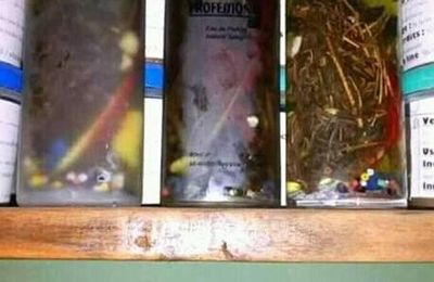 MAÎTRE MARABOUT PAPA AGBORO Chance,Protection,Purification