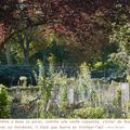 Quartier Drouot - Jardin d'automne...