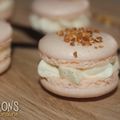 Macarons vanille - praliné
