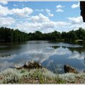 Le PARC de MAJOLANT. BANQUEFORT 33290 ( 11 ) et fin