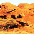 26/27/28 décembre 2013 : Uluru / Monts Olga / King Canion (suite)
