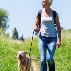 Psychologie : Les bénéfices pour la santé de la compagnie d'un chien !