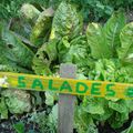 Petits panneaux dans le jardin