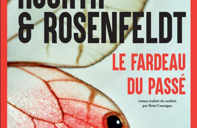 Le fardeau du passé - Hjorth et Rosenfeldt - Actes Sud/Actes noirs