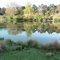 Reflets au Parc Montsouris