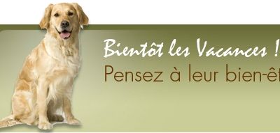 VACANCE D'ÉTÉ 2014