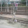Signalisation ferroviaire en gare de Rennes : carré violet.