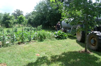 Au Potager ...