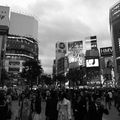 tokyo-shibuya