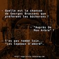 Quelle est la chanson de Georges Brassens préférée des bûcherons ? - "Auprès De Mon Arbre" ? - Non, "Les Copeaux D'abord".