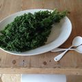 la quête du kale !