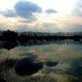 Au bord de l'etang avant le couche du soleil