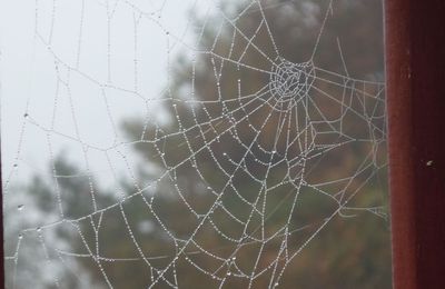 un matin d'automne