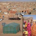 Sit-in à Tindouf des membres de la tribu de Rguibats-Laayaicha