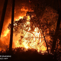 Incendie en Californie