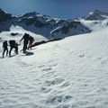 Ferraturas / Sur les traces de l'ours pyrénéen...