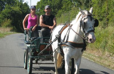 ballade en attelage avec ludo , audrey le 16 08 2009