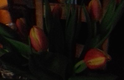 dites- le avec des fleurs