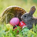Le Lapin de Pâques 2025 de Mouny
