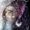 Urban Vertigo Sandman by Neil Gaiman