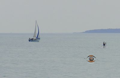 Scène sur l'eau