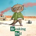 Breaking Bad Loutre