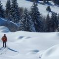 Hiver  2015-2016 : Séjours Raquette en Vercors