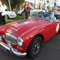 les belles "AUSTIN HEALEY" 