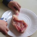 Dissection d'une cuisse de poulet en CM1