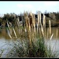 Photo prise sur les bords de seine