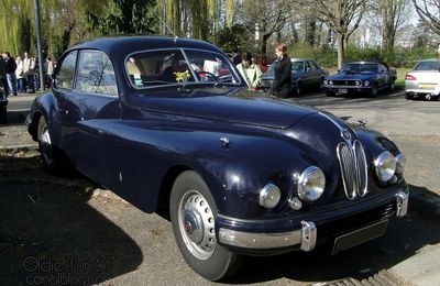 Bristol 403-1955