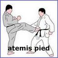techniques de jujitsu