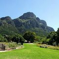 Kirstenbosch