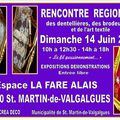 Brocante, bestiole et expo