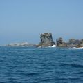 POINTE DES POULINS  (BELLE ILE EN MER)