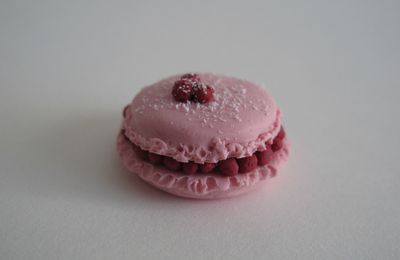 Framboisier sur macaron