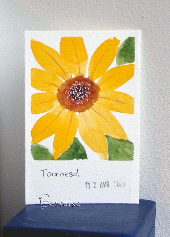 24 Tournesol