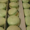 Macarons Pistache