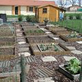 Potager au carré 