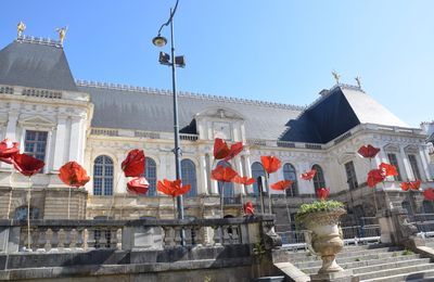 Tapis rouge par la KO Compagnie aux Tombées de la nuit le 4 juillet 2025 (1)