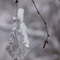 gIVRE...